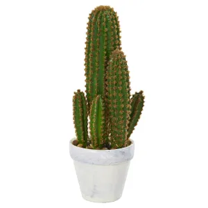 1.5' Artificial Cactus Succulent w/Planter - Low Maintenance, Life-Like & Vibrant Silk Plants For Busy People.