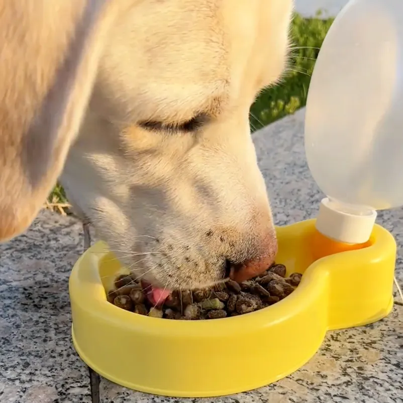 Balloon Water Bottle