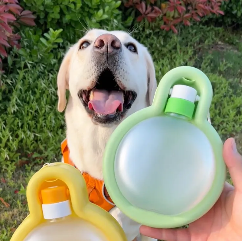 Balloon Water Bottle