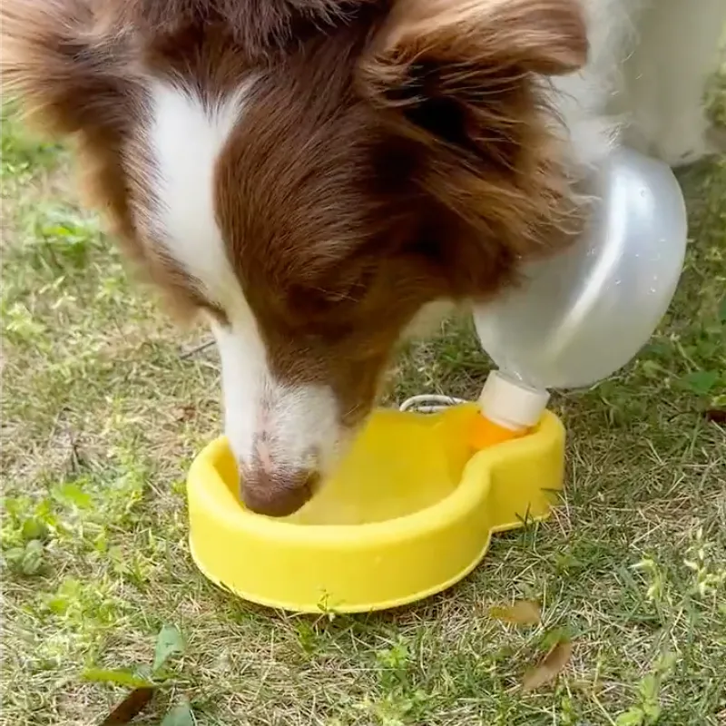 Balloon Water Bottle