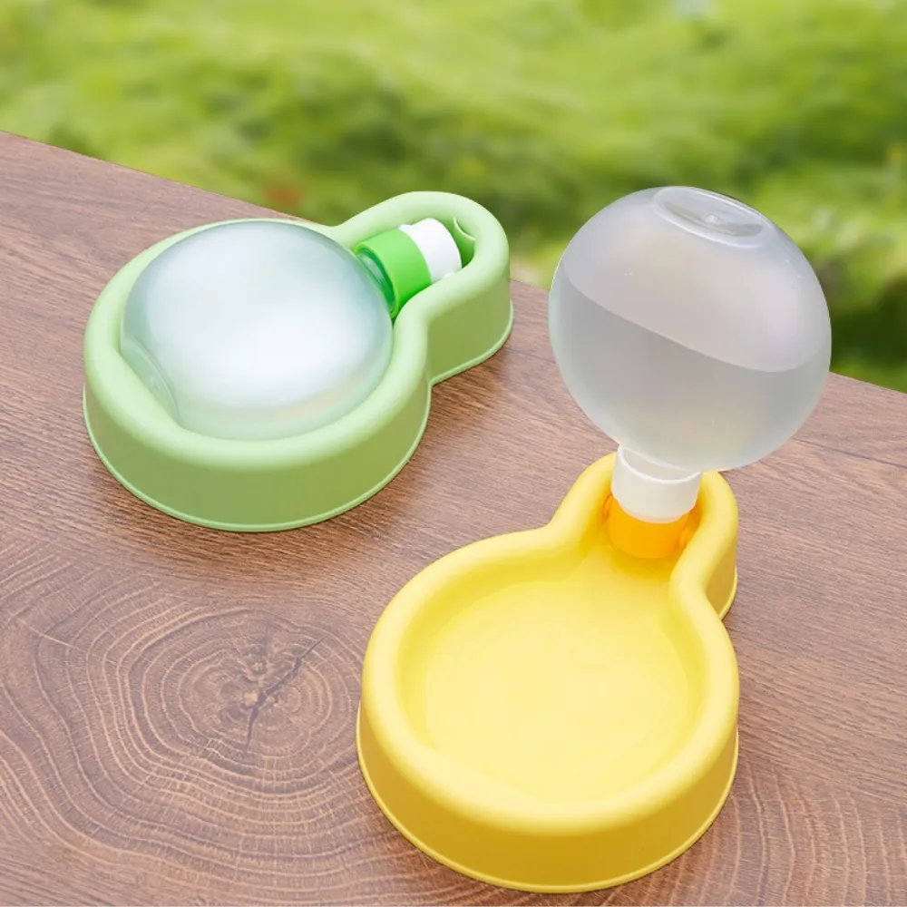 Balloon Water Bottle