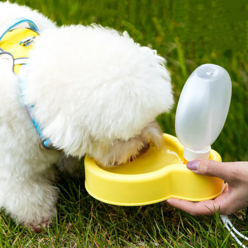 Balloon Water Bottle