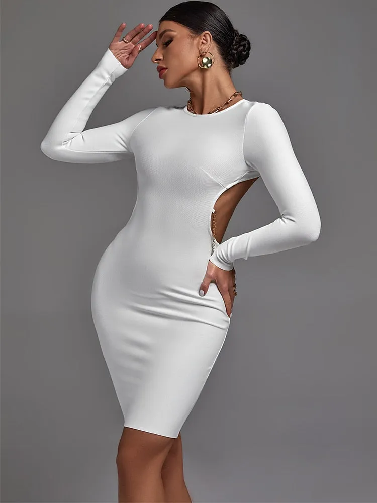 Gorgeous White Long Sleeve Bodycon Elegant Dress