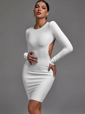 Gorgeous White Long Sleeve Bodycon Elegant Dress