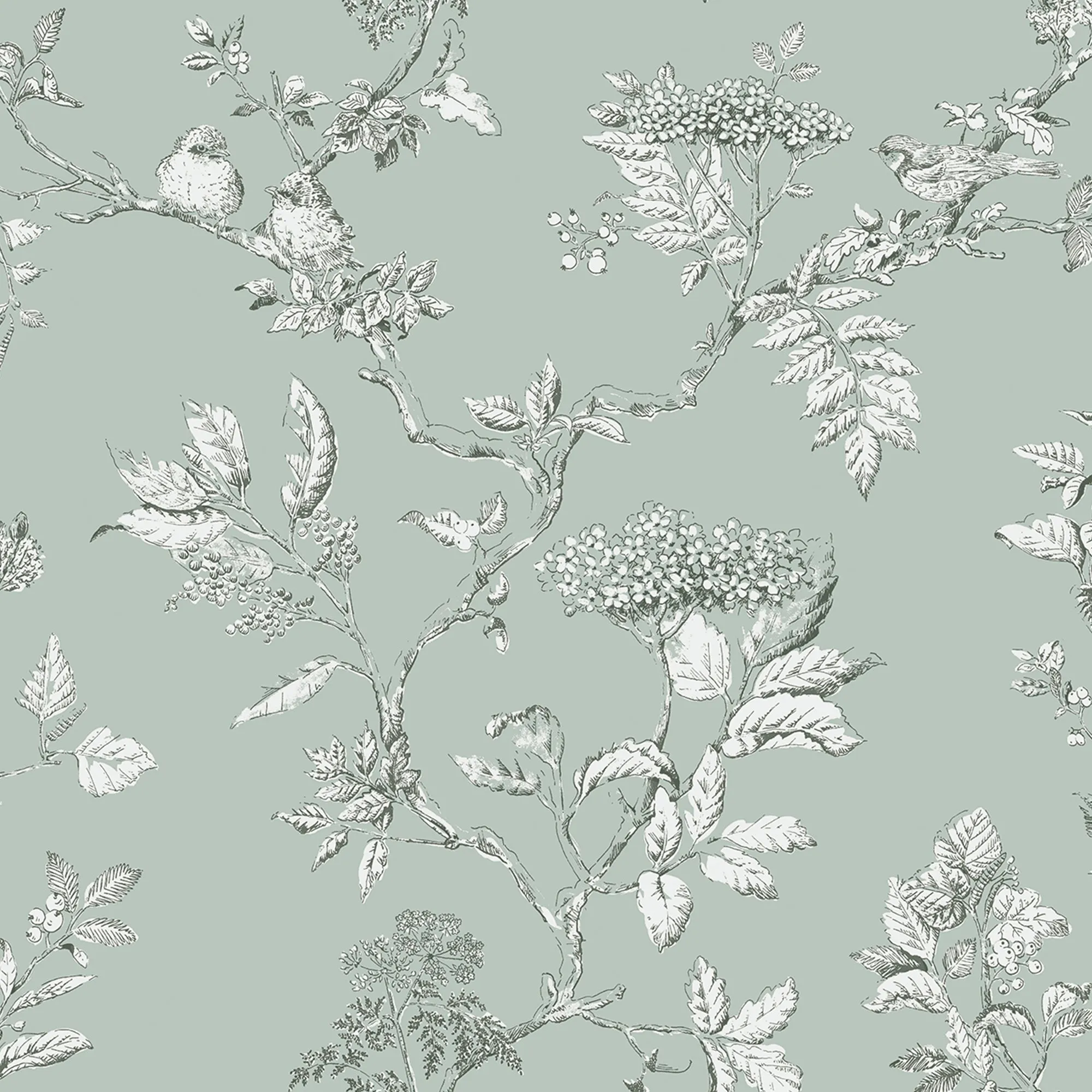 Laura Ashley Wallpaper Elderwood Duck Egg 113345