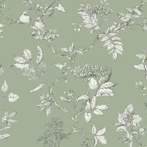 Laura Ashley Wallpaper Elderwood Sage 113348