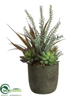 Silk Plants Direct Agave, Sedum, Yucca Fern - Green Frosted - Pack of 1